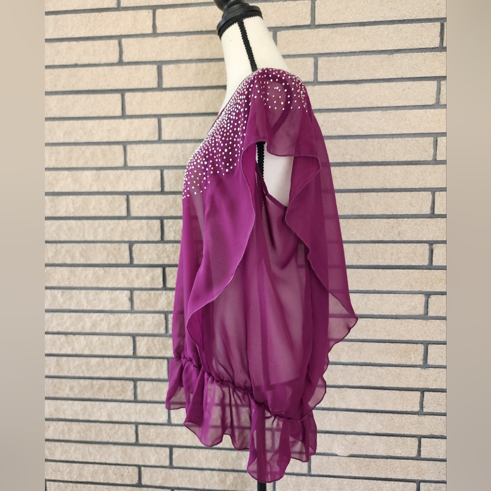 Lane Bryan Sheer Blouse 14/16W - Picture 4 of 11